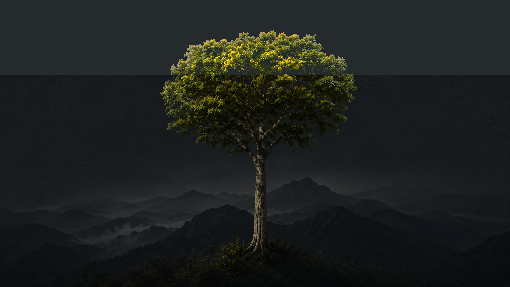 Paisagem natural relacionada ao plantio de árvores