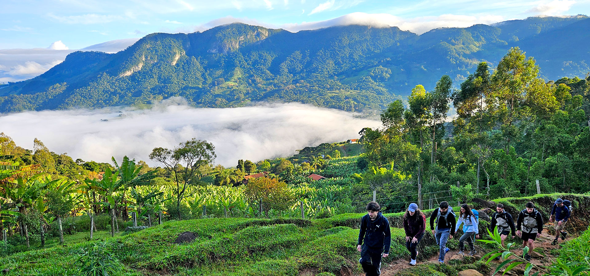 Grupo em travessia pela vegetação de altitude da Serra da Mantiqueira